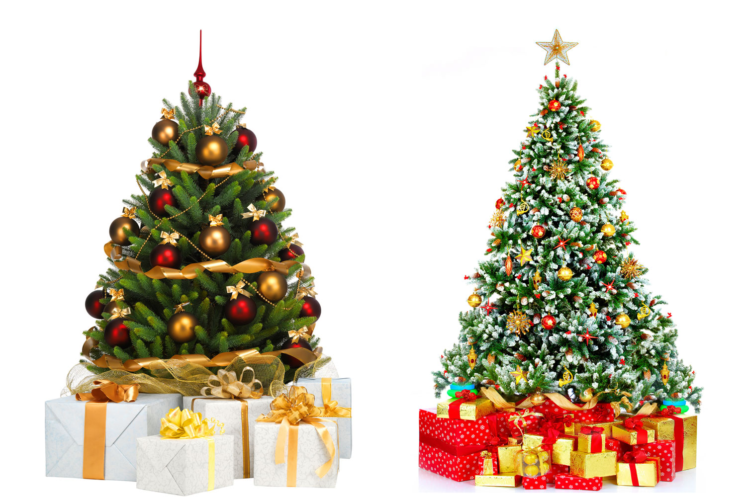 Where to buy a Christmas tree in Qatar Time Out Doha