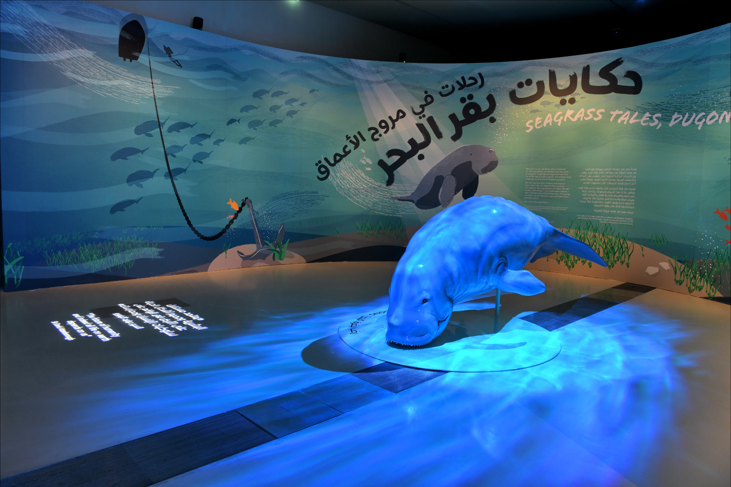 Dugong exhibition opens at National Museum of Qatar | Time Out Doha Dugong exhibition opens at National Museum of Qatar | Time Out Doha