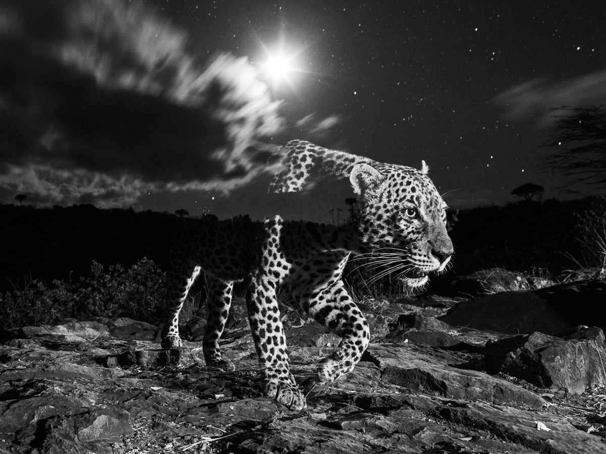 Take a look at the amazing winners of the Travel Photographer of the