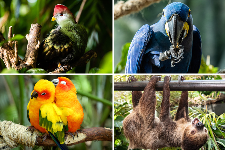 17 places the kids can see animals in the UAE | Time Out Sharjah 17 places the kids can see animals in the UAE | Time Out Sharjah