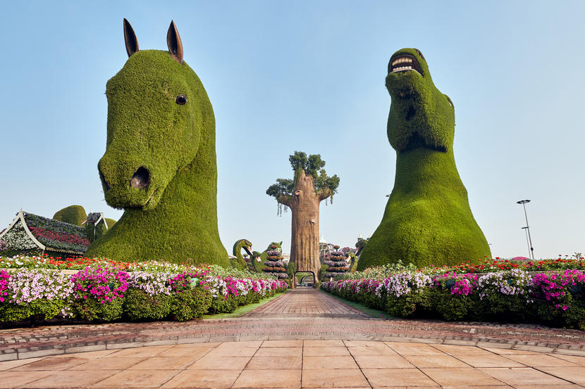 Fantastic things to do in Dubai, Dubai Miracle Garden