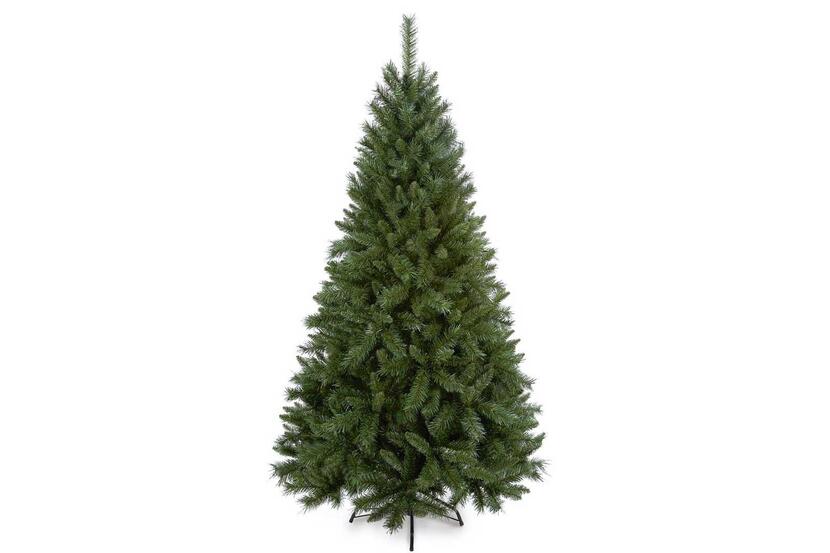Real christmas shop tree prices 2020
